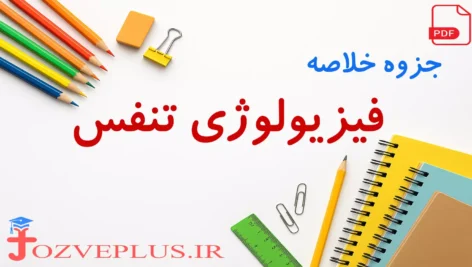 jozve-physiology-respiratory-system